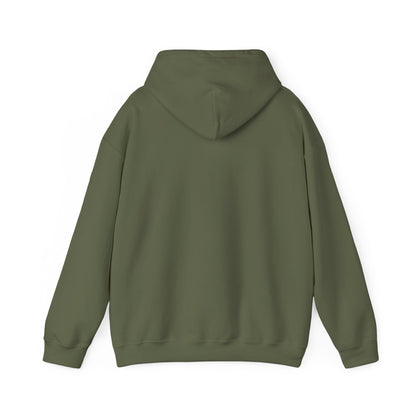 Undiagnosed But Aint Right Hoodie