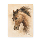 Quiet Working Horse Stretched Canvas — Graphite & Watercolor Ranch Art
