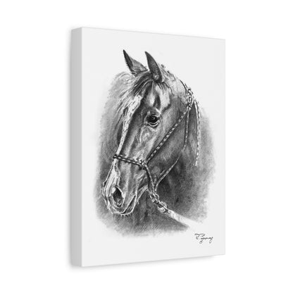 Quarter Horse Halter Custom Stretched Canvas