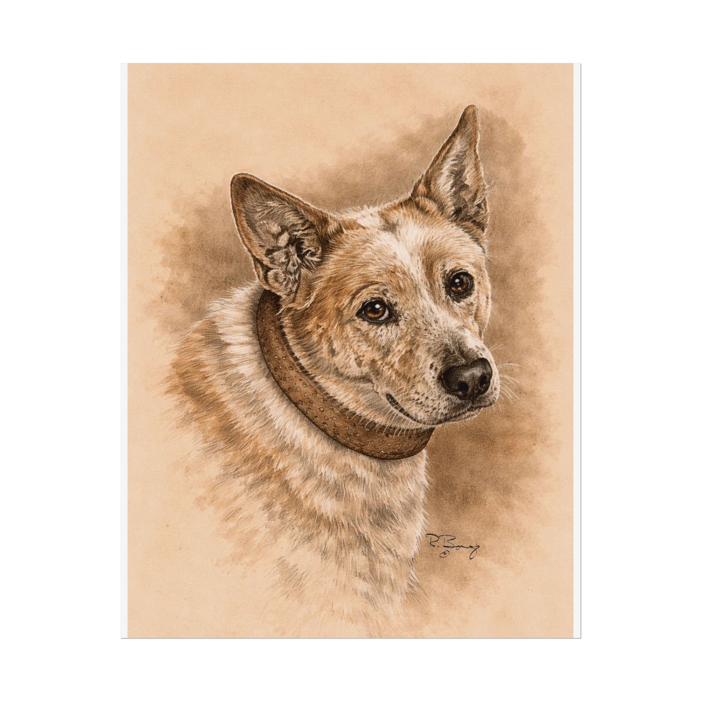 Australian Cattle Dog (Heeler) Archival Print