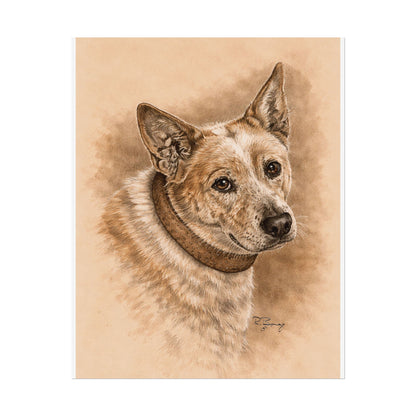 Australian Cattle Dog (Heeler) Archival Print