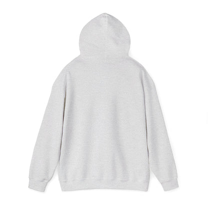 Undiagnosed But Aint Right Hoodie