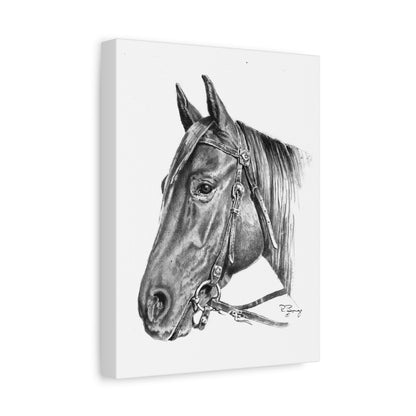 Horse Head, Custom Stretched Canvas
