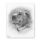 Black Mouth Cur, Custom Stretched Canvas