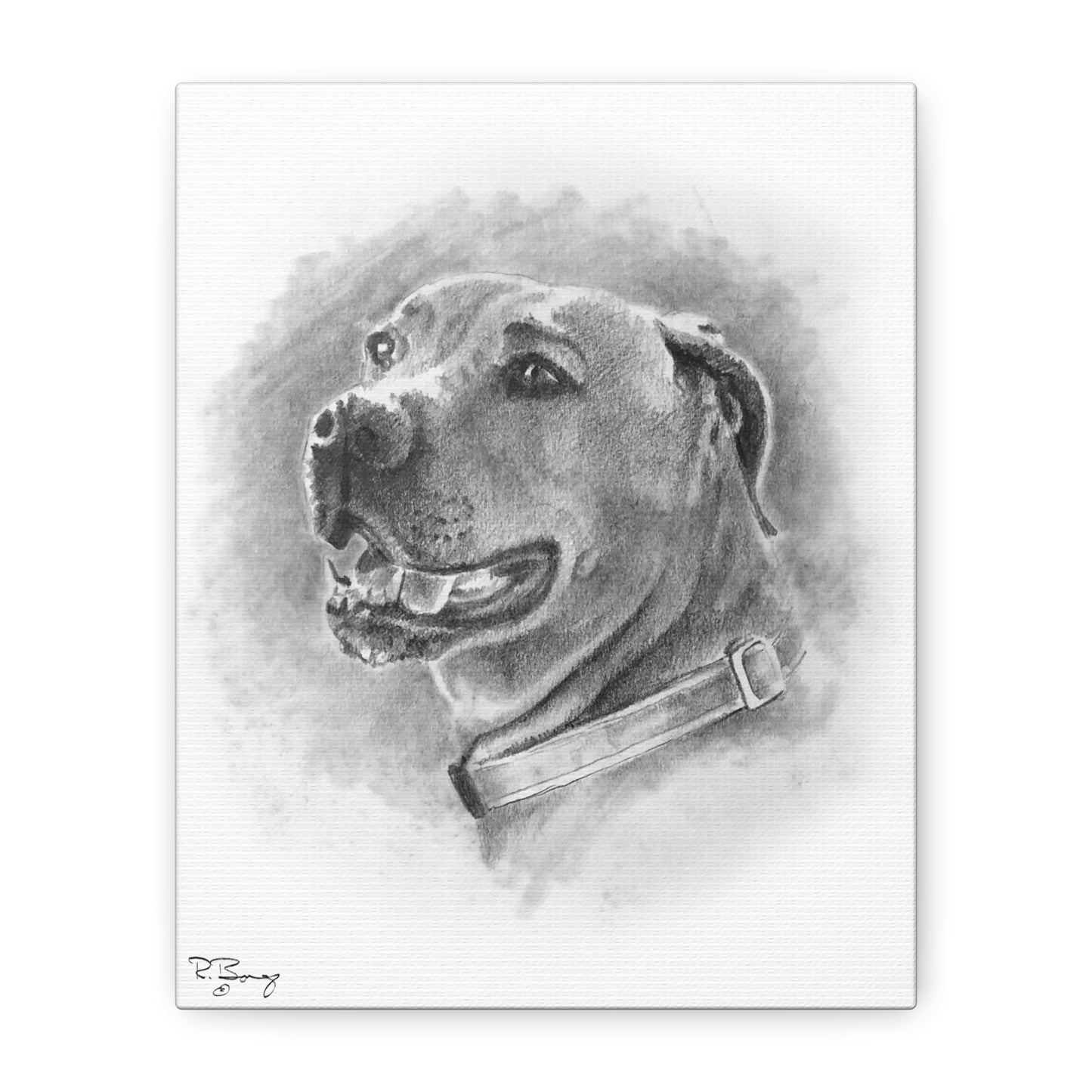 Black Mouth Cur, Custom Stretched Canvas