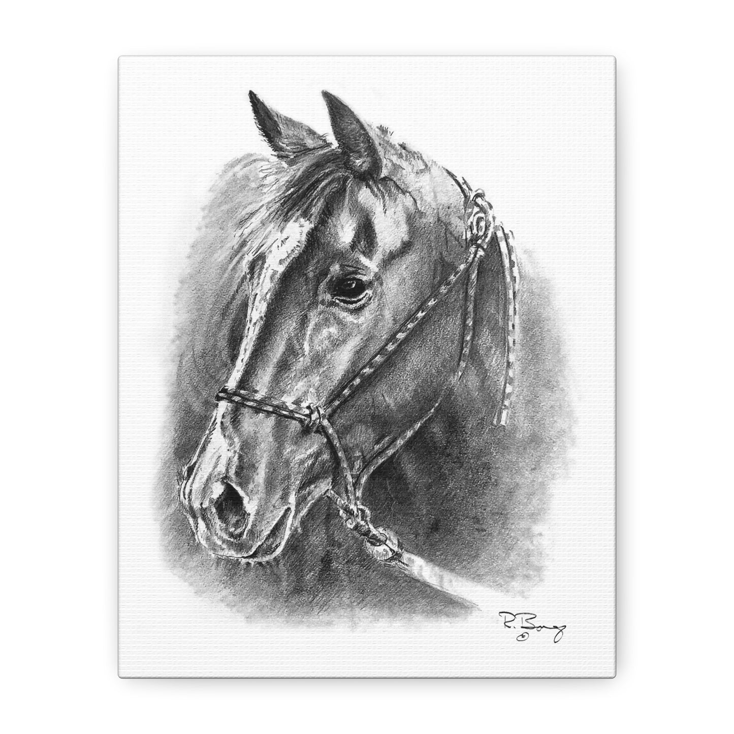 Quarter Horse Halter Custom Stretched Canvas