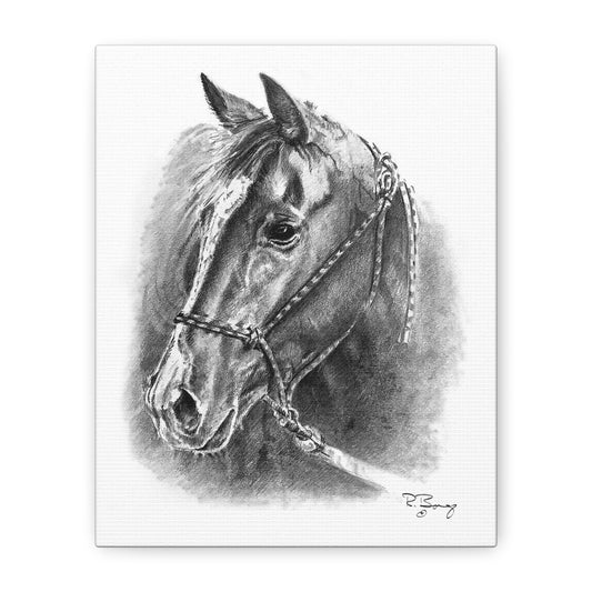 Quarter Horse Halter Custom Stretched Canvas