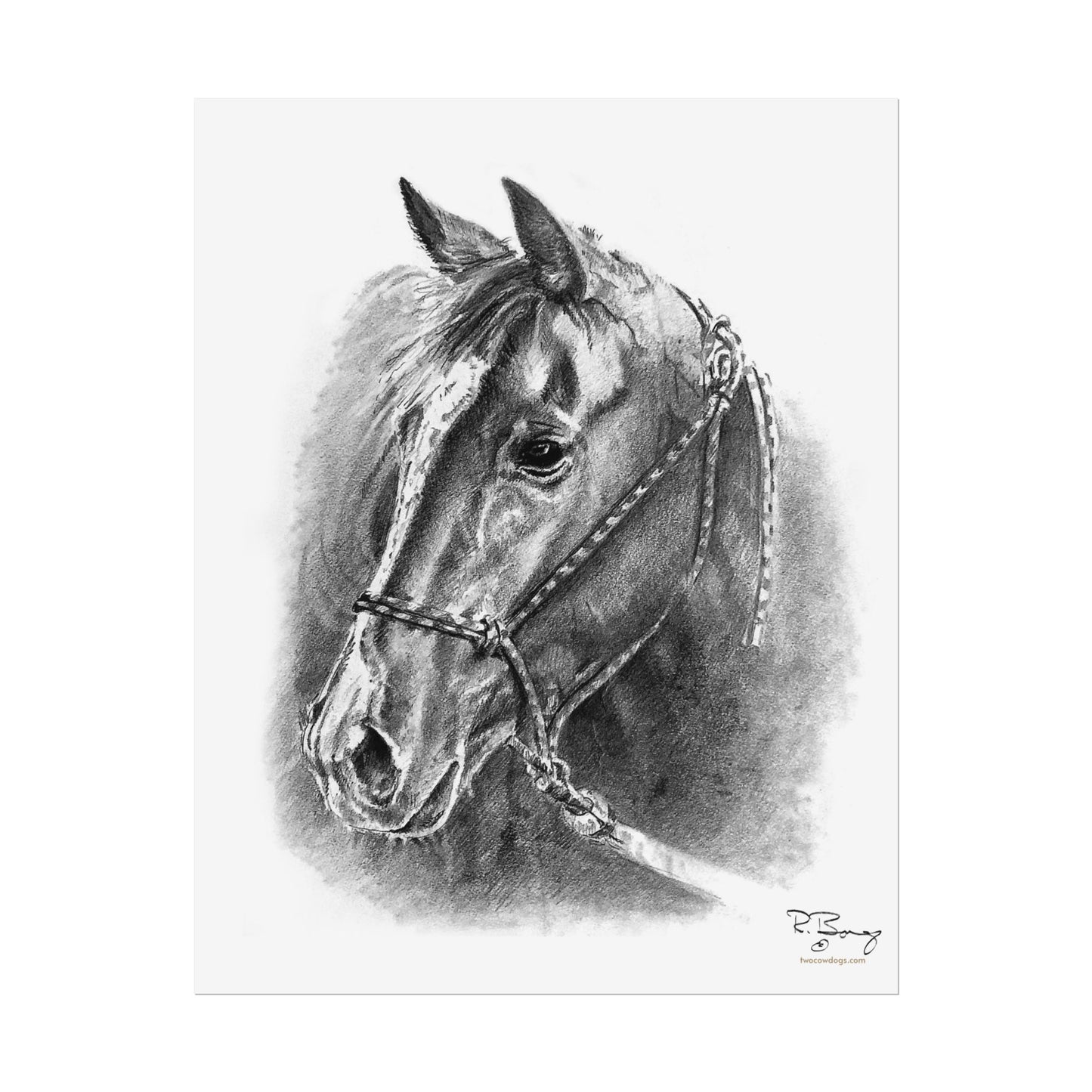 Quarter Horse Halter Custom Print