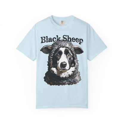Black Sheep, Border Collie Tee Shirt