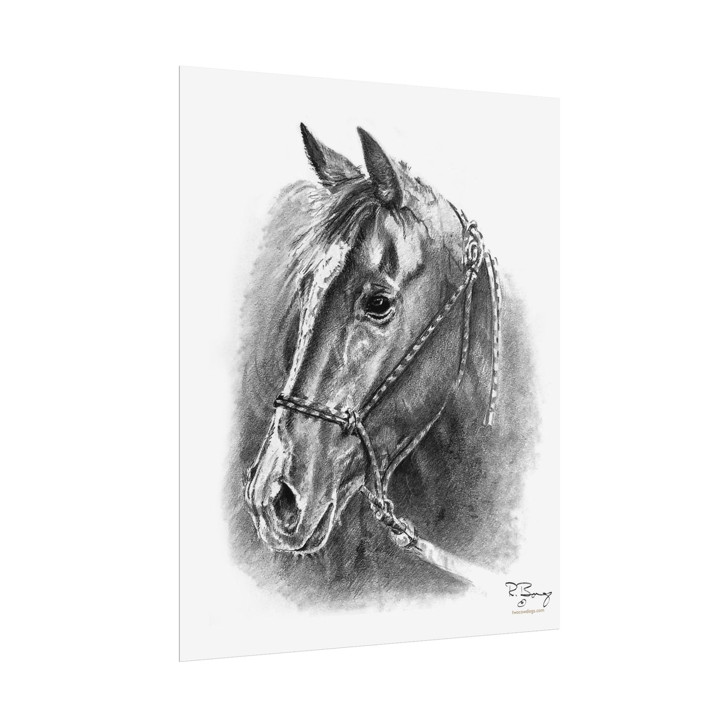 Quarter Horse Halter Custom Print