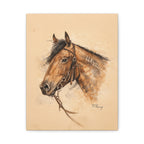Mustang Stretched Canvas Art