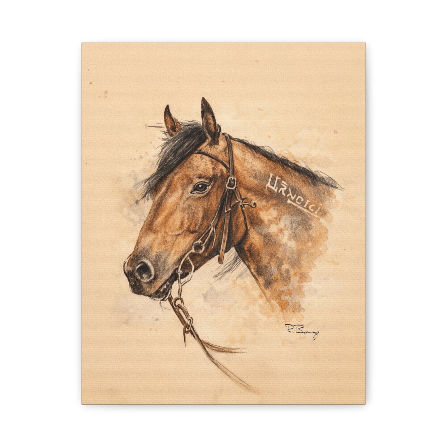 Mustang Stretched Canvas Art