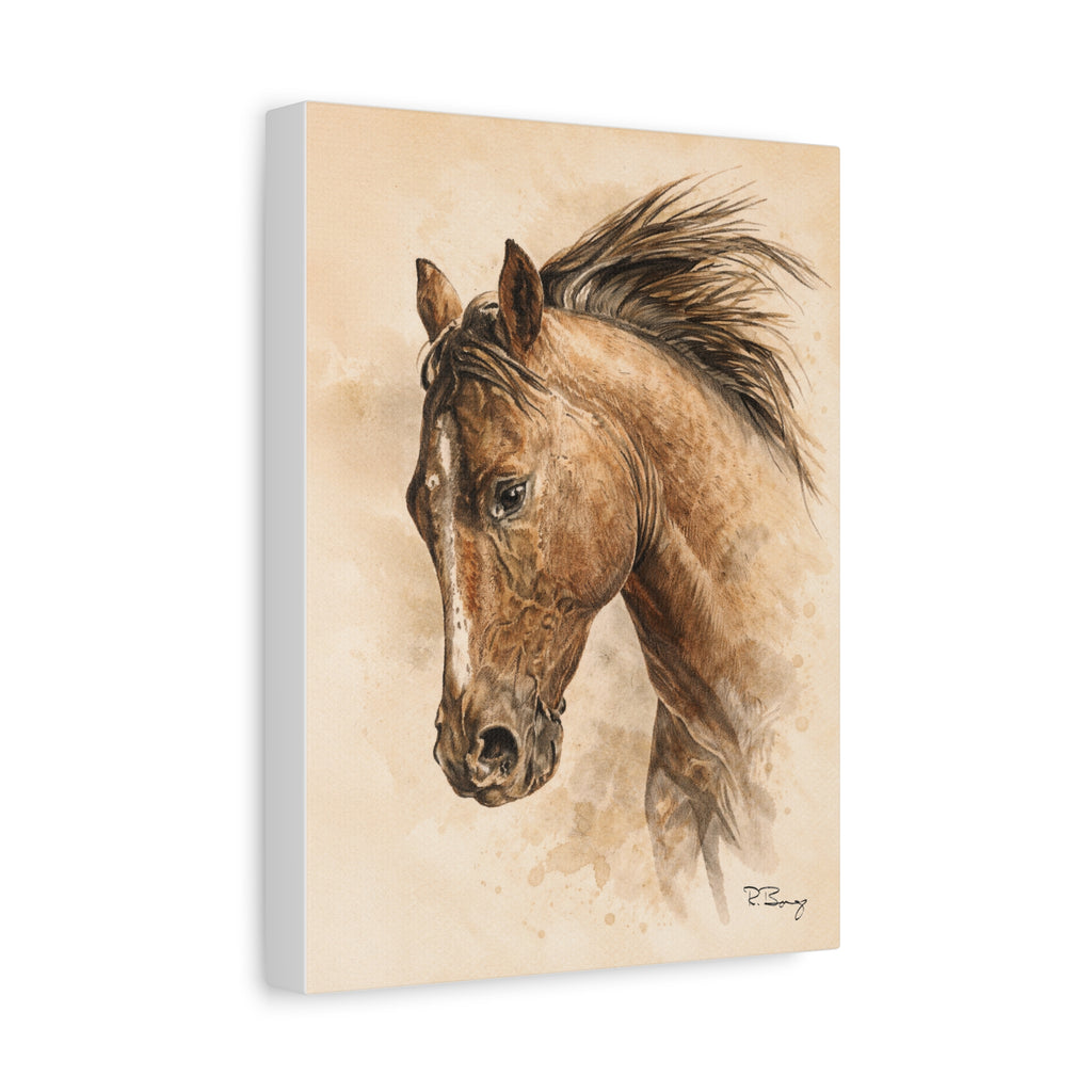 Quiet Working Horse Stretched Canvas — Graphite & Watercolor Ranch Art
