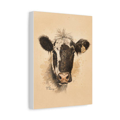 Scruffy Cow Portrait Stretched Canvas