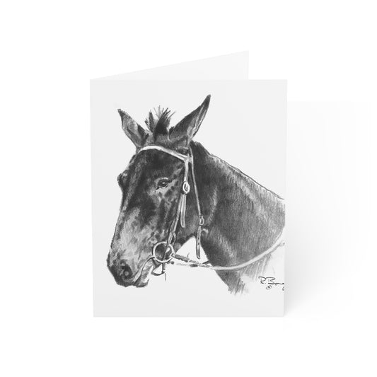 Mule Blank Notecards