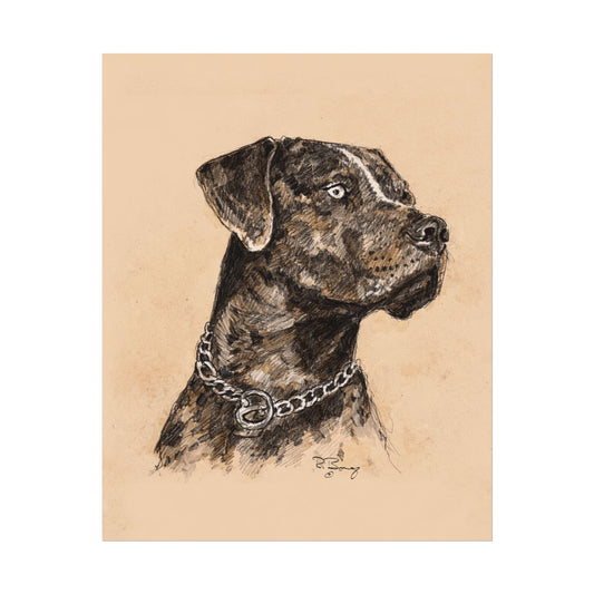 Catahoula Print on Fine Art Paper