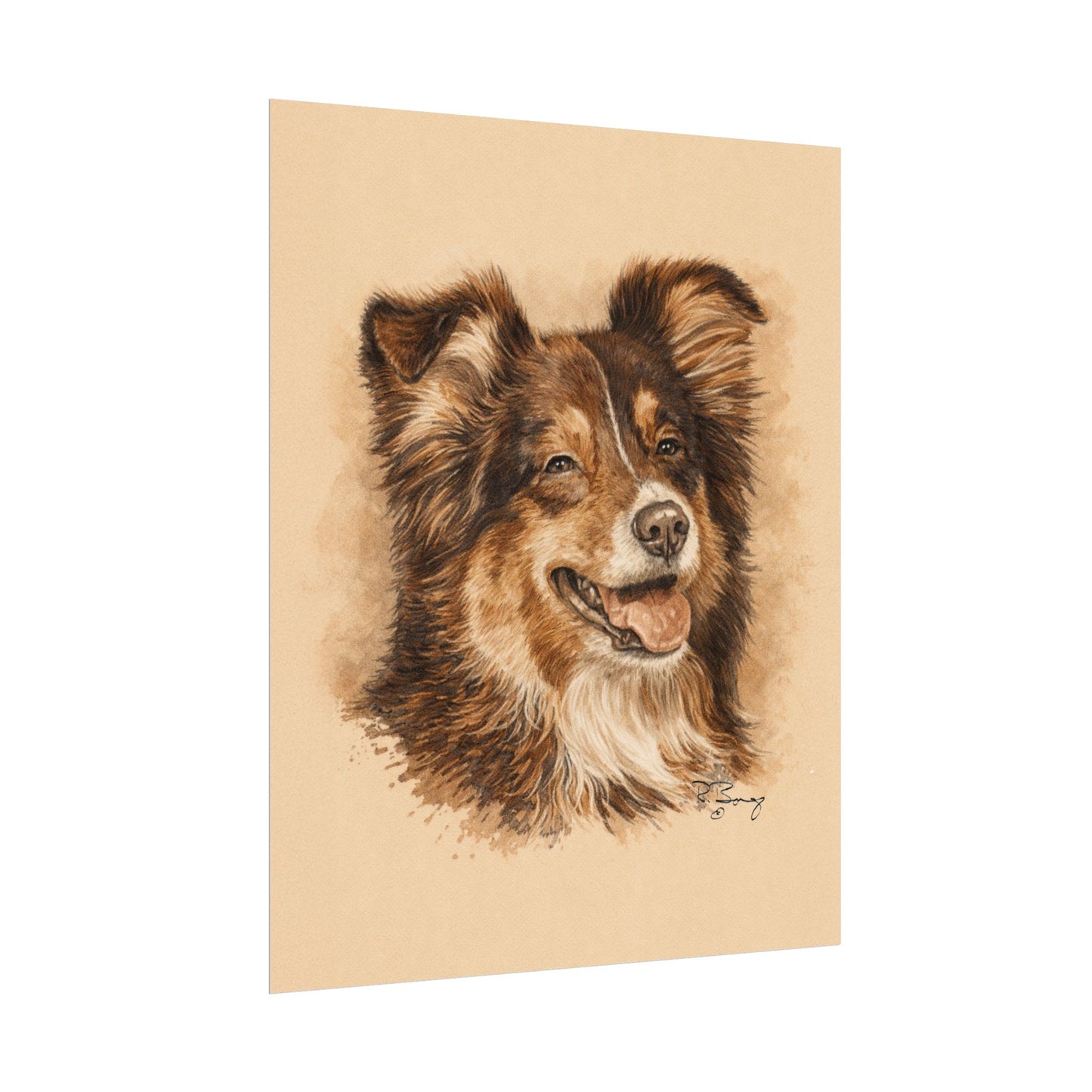Toy Aussie Australian Shepherd Archival Paper Print