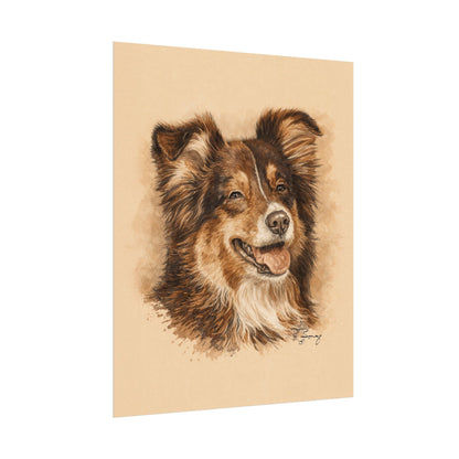Toy Aussie Australian Shepherd Archival Paper Print