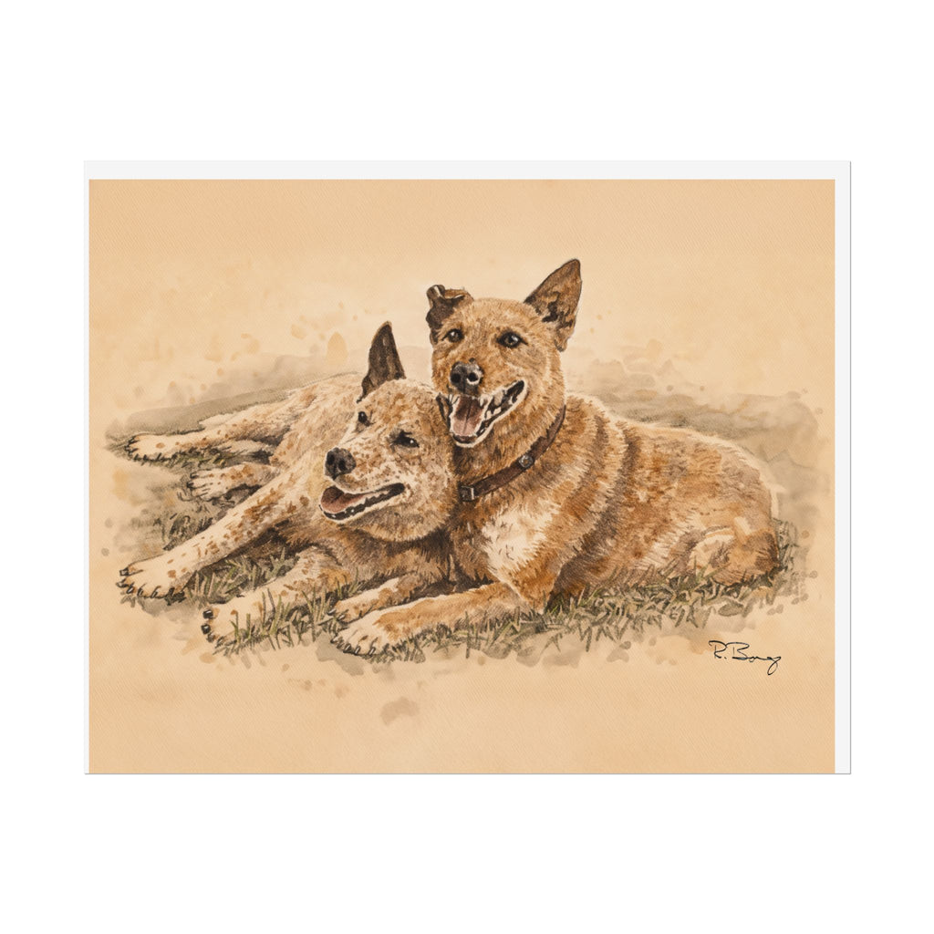 Two Cow Dogs Watercolor Print