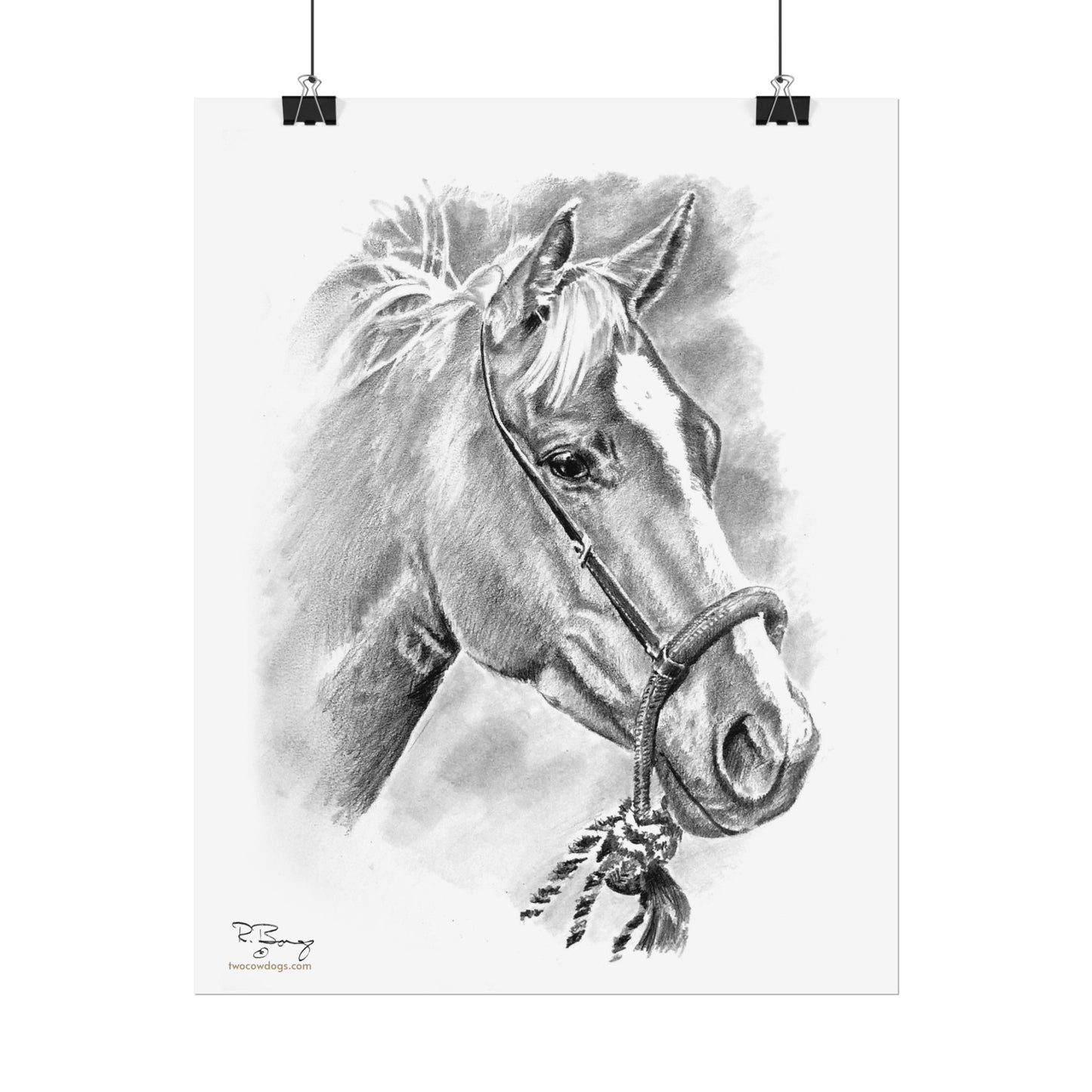 Vaquero Horse in Bosal Print
