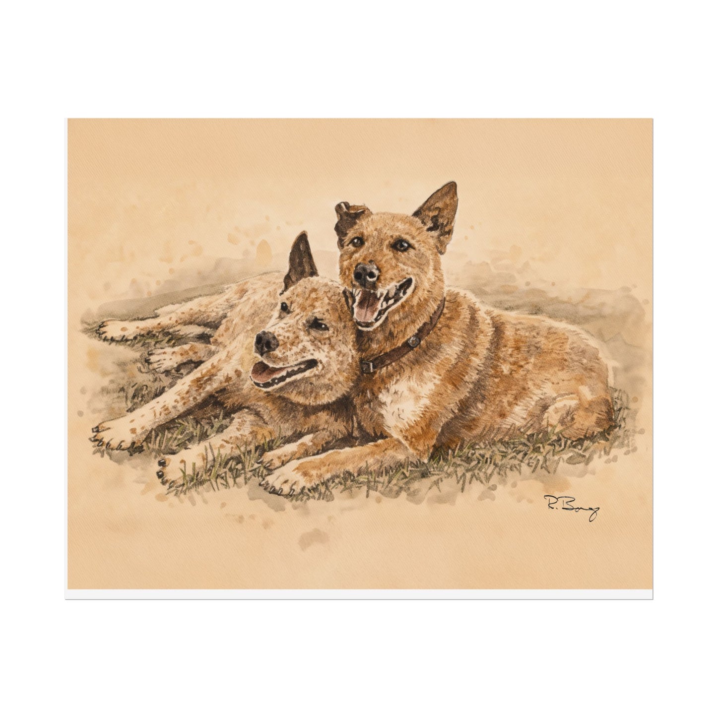 Two Cow Dogs Watercolor Print