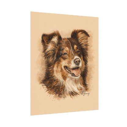 Toy Aussie Australian Shepherd Archival Paper Print