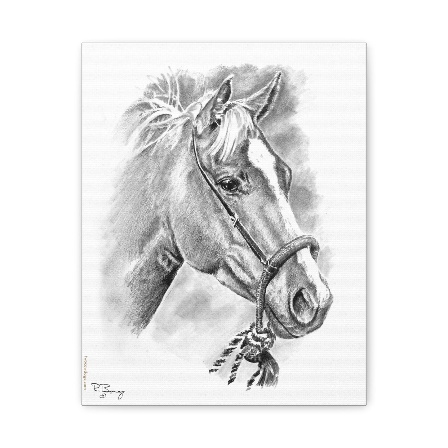 Stretched Canvas Vaquero Horse