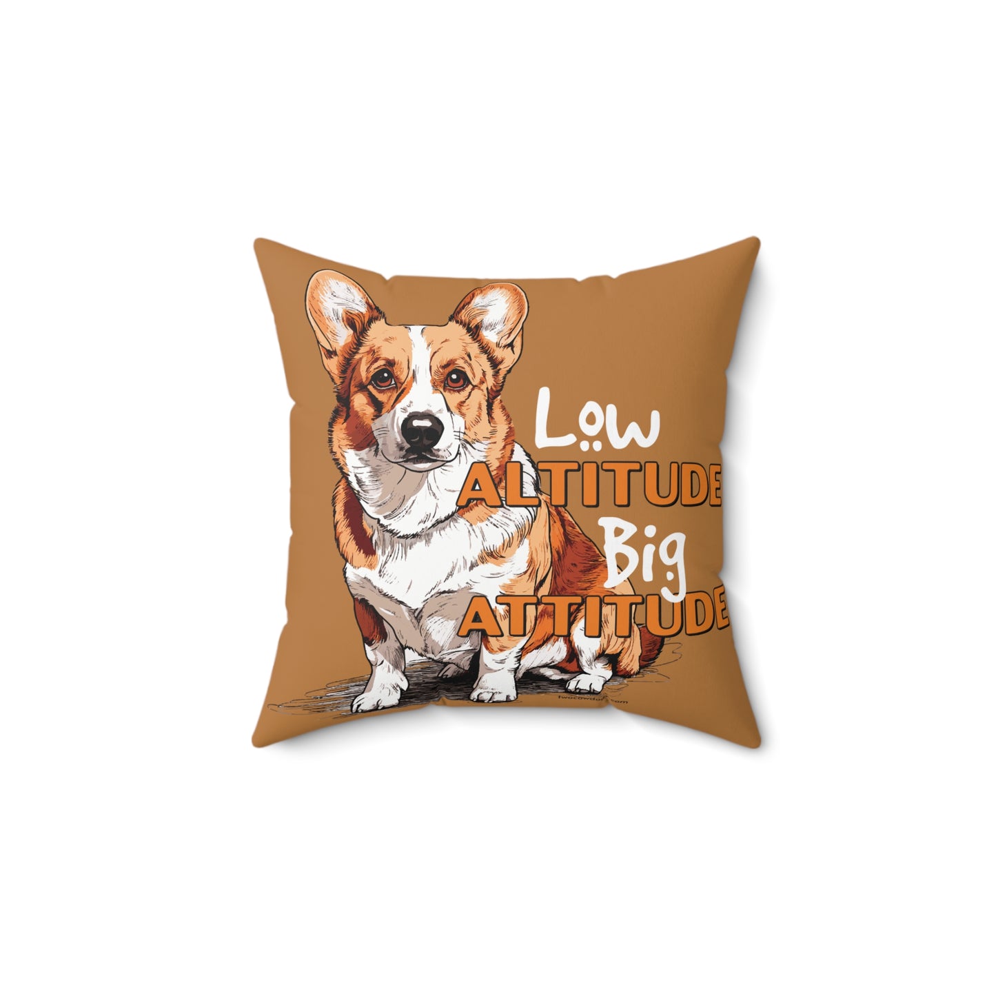 Square Pillow - Corgi, Low Altitude Pillow