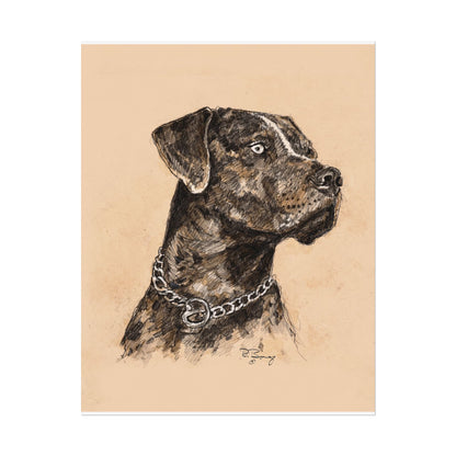 Catahoula Print on Fine Art Paper