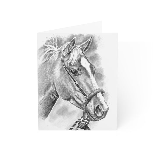 Notecards Set - Palamino Blank Greeting Cards (1, 10, 30, and 50pcs)