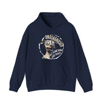 Undiagnosed But Aint Right Hoodie