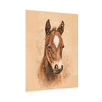 Star Colt Archival Paper Print