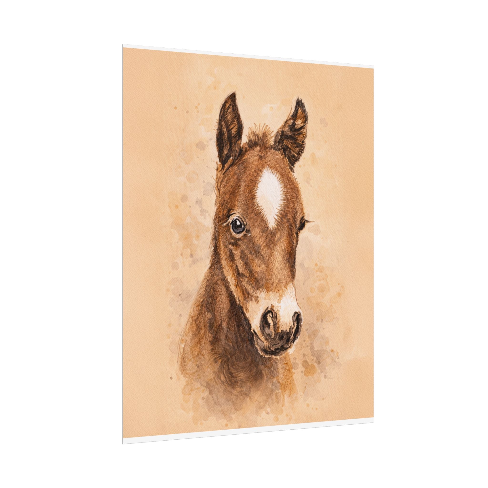 Star Colt Archival Paper Print