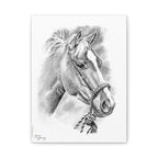 Stretched Canvas Vaquero Horse