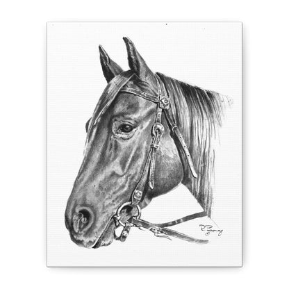 Horse Head, Custom Stretched Canvas