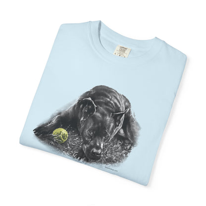 Black Dog Super-Soft T-Shirt