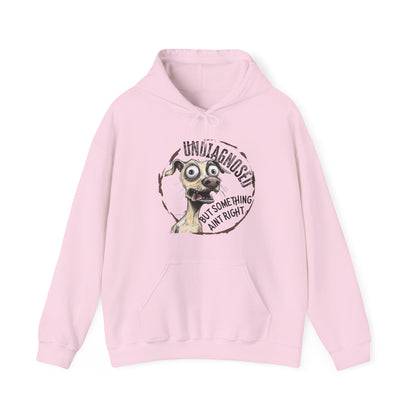 Undiagnosed But Aint Right Hoodie