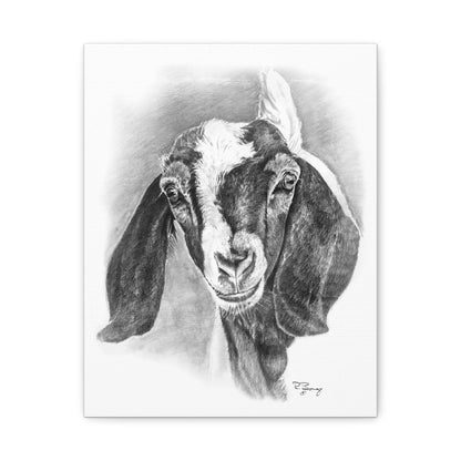 Boer Goat Canvas