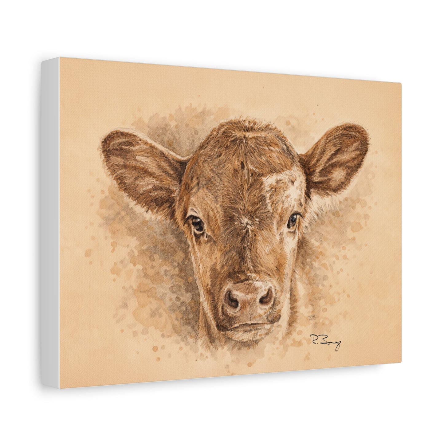 Calf Ears Stretched Canvas Print