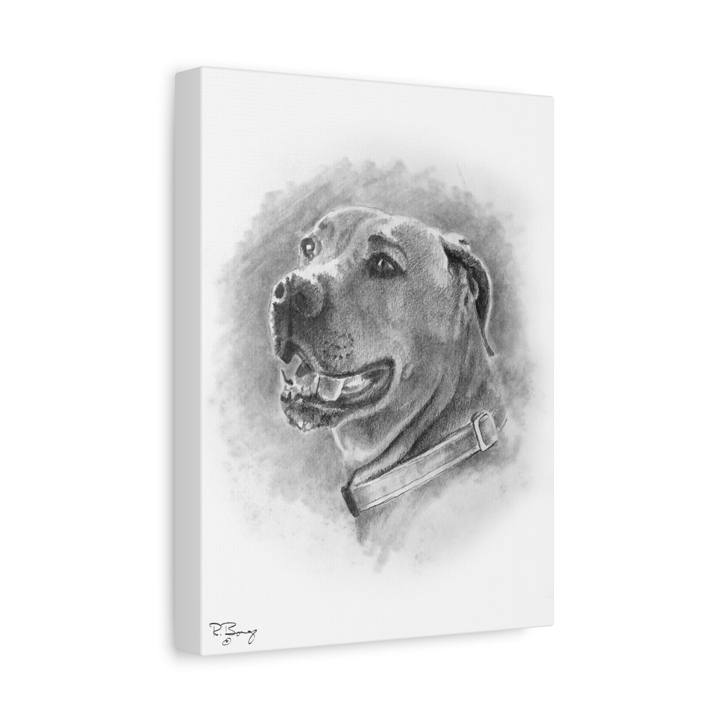Black Mouth Cur, Custom Stretched Canvas