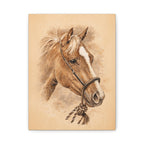 Horse in Mecate Stretched Canvas Print — Traditional Horsemanship Art