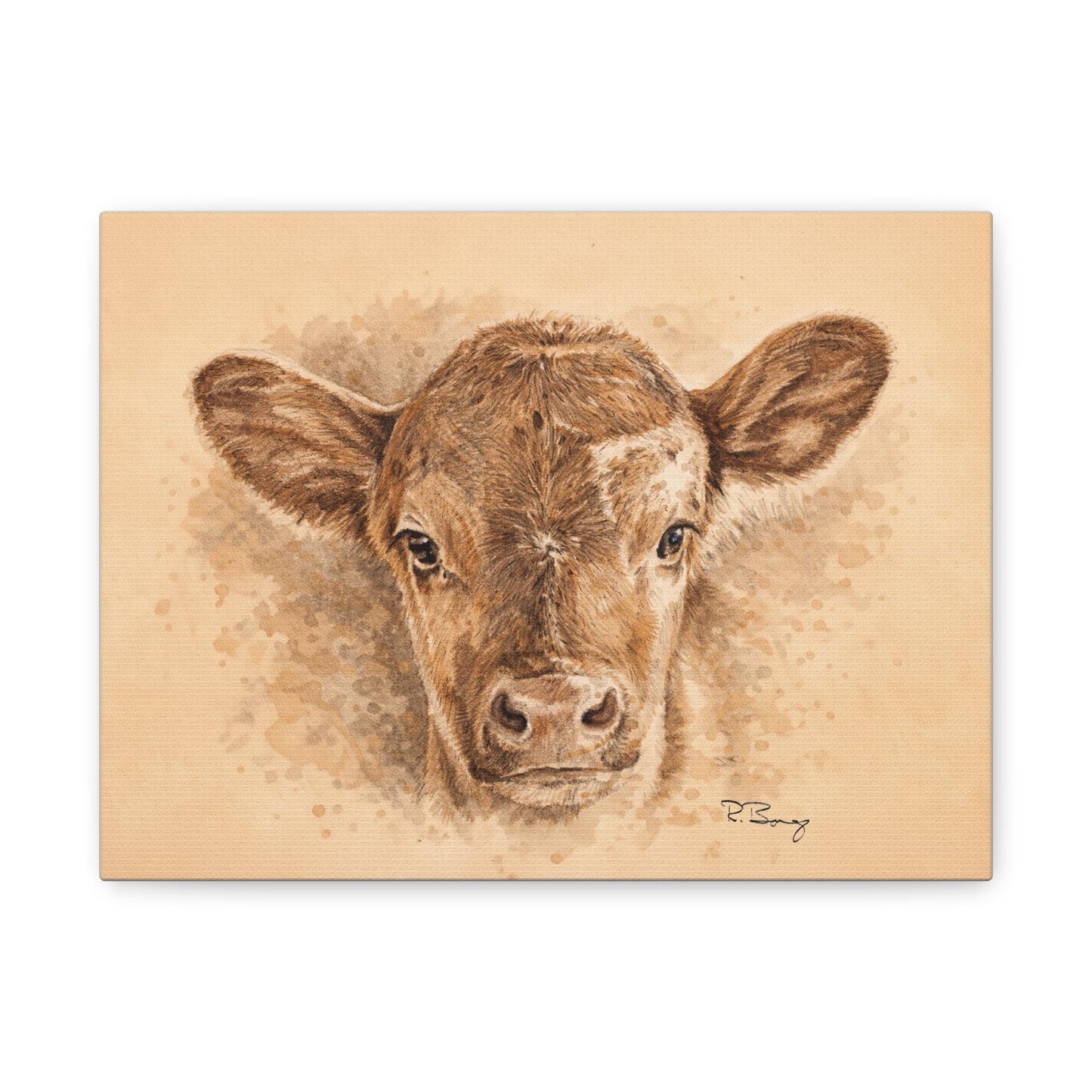 Calf Ears Stretched Canvas Print
