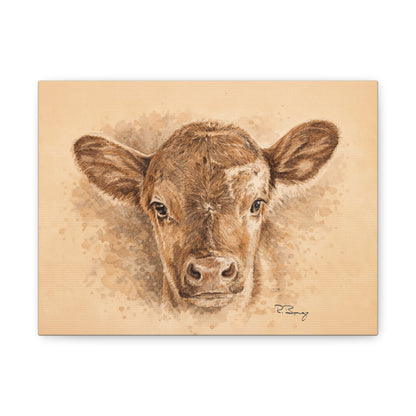 Calf Ears Stretched Canvas Print