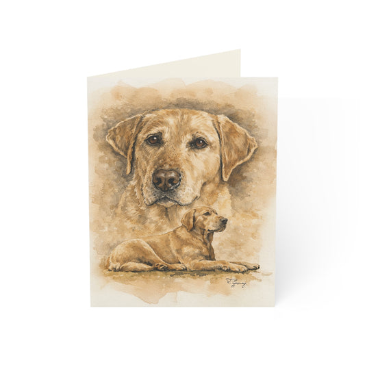 Stella, Yellow Lab Notecards — Greeting Cards (Pack of 1, 10)