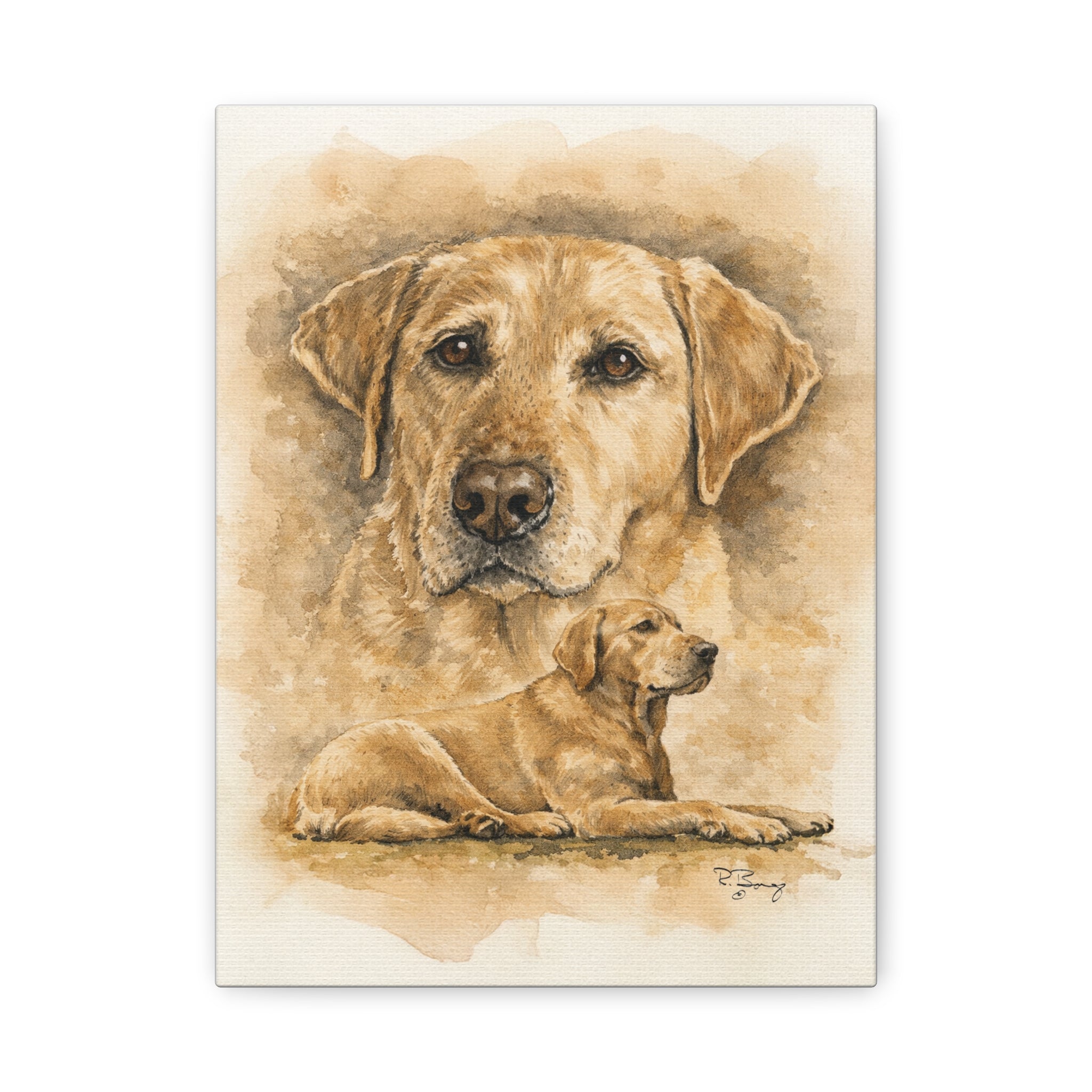 Yellow Lab Stretched Canvas Print — "Stella" Matte 1.25"