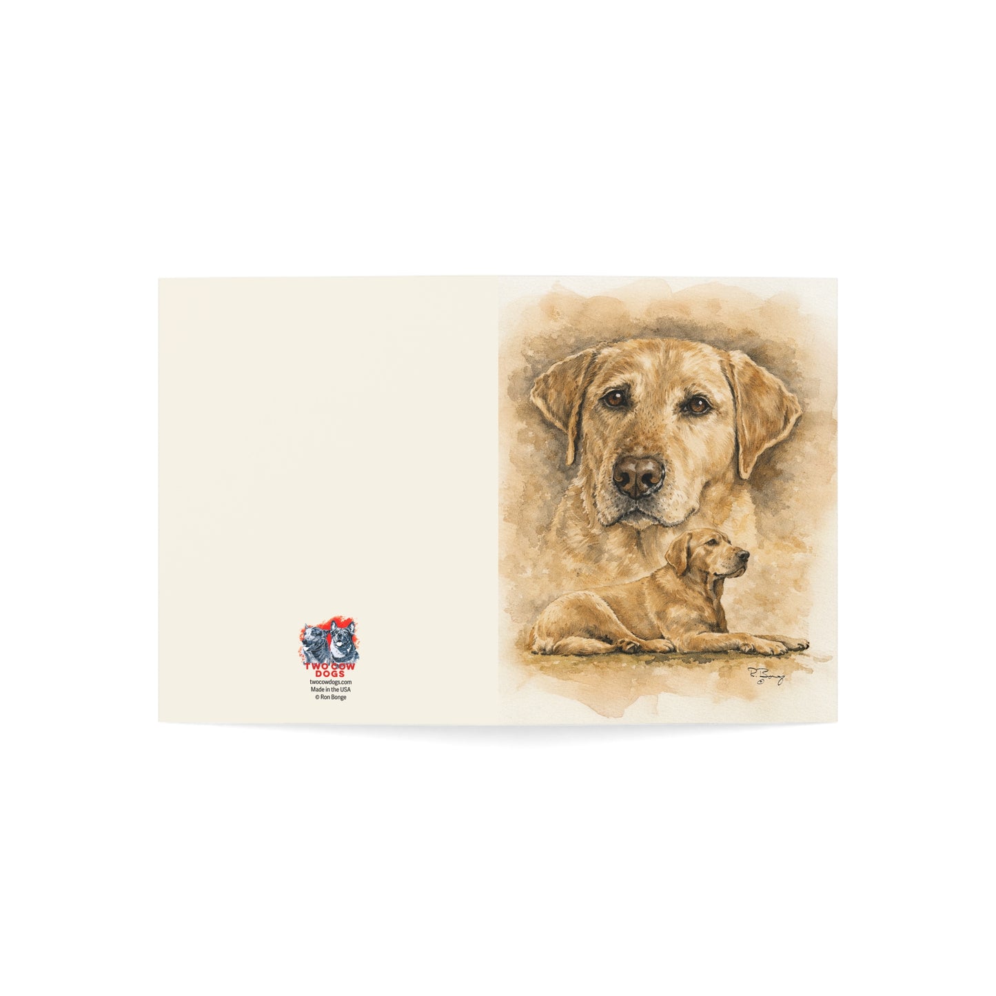 Stella, Yellow Lab Notecards — Greeting Cards (Pack of 1, 10)