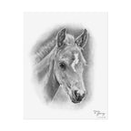 Lightning Colt Print, Black and White