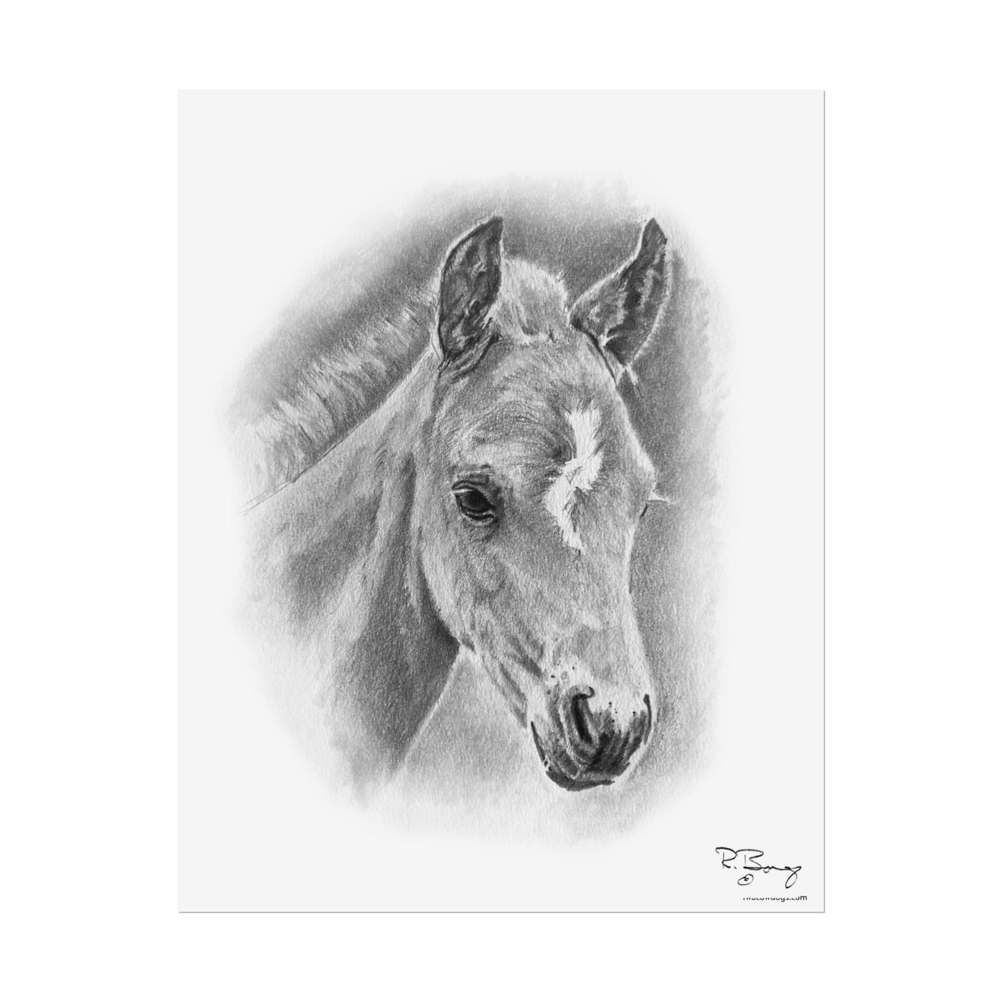Vertical Print - Foal with Crooked Star