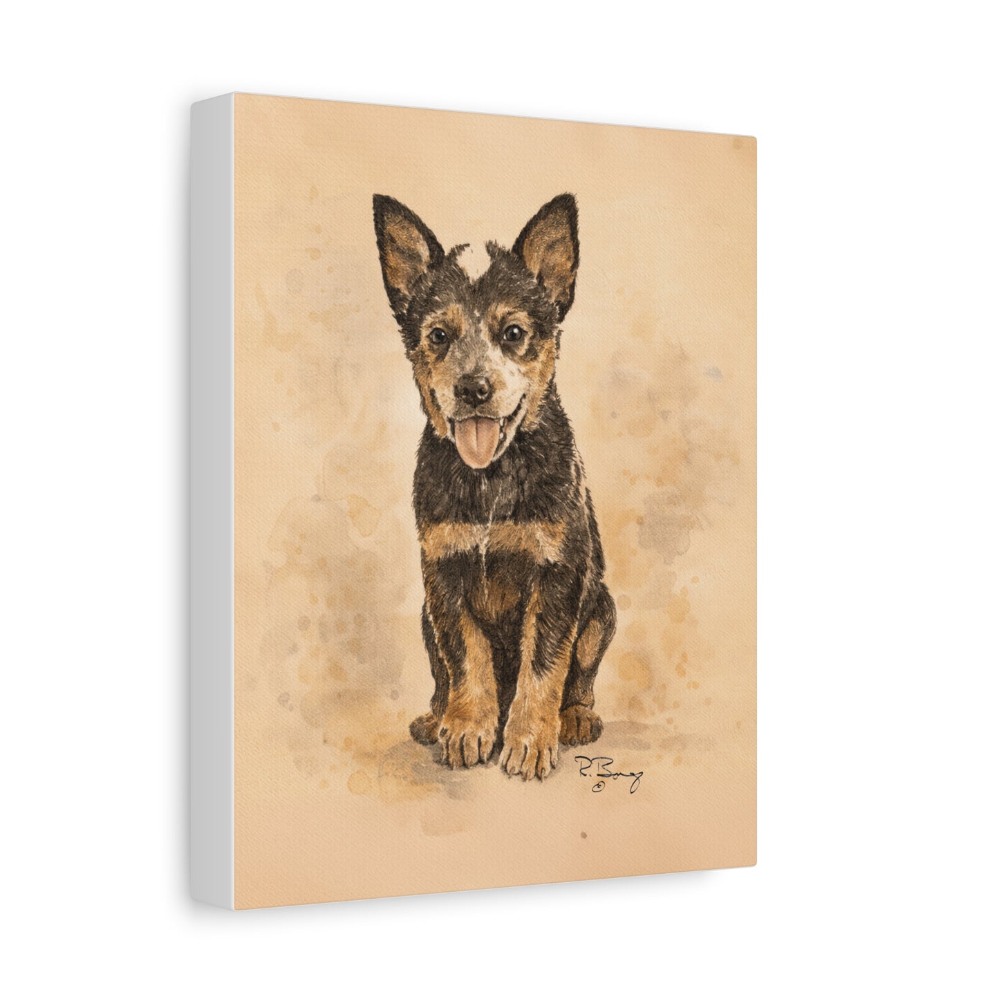 Heeler Pup, Australian Cattle Dog, Custom Stretched Canvas