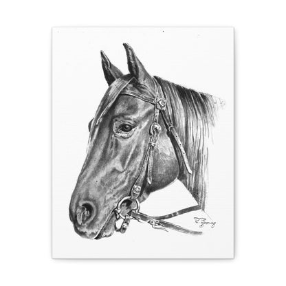 Horse Head, Custom Stretched Canvas